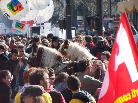 19 Mars 2009 La cavalerie